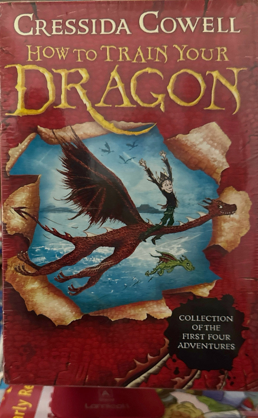 HOW TO TRAIN A DRAGON