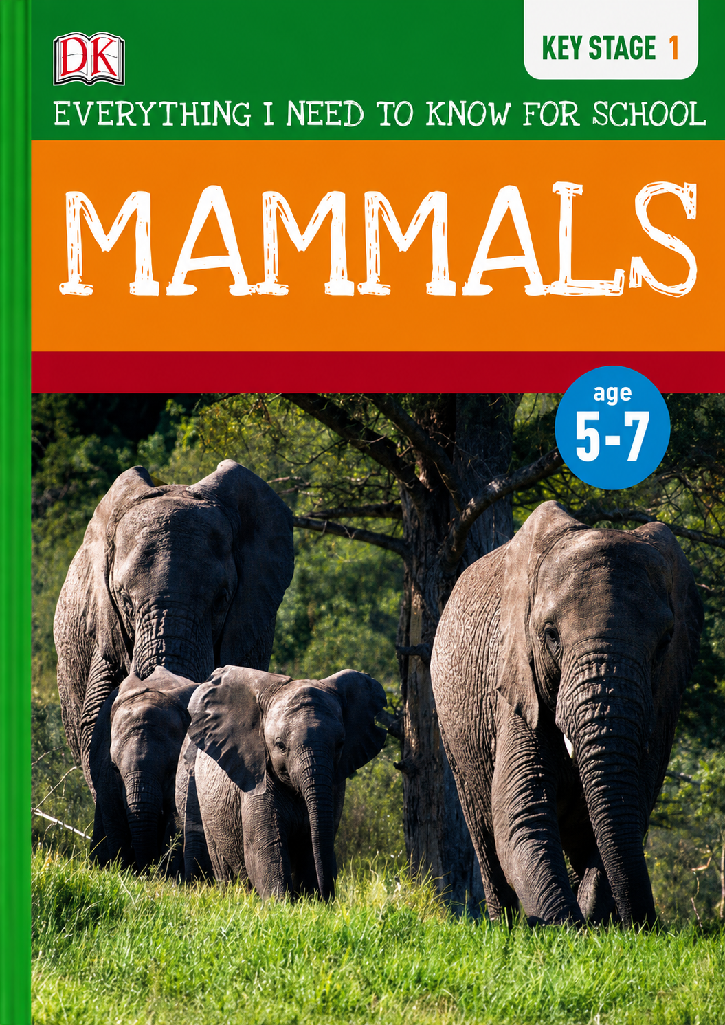 EVERYTHING I NEED TO KNOW FOR SCHOOL: MAMMALS AGES 5-7