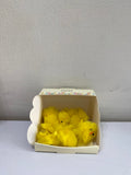 THE RANGE EASTER CHICKS
