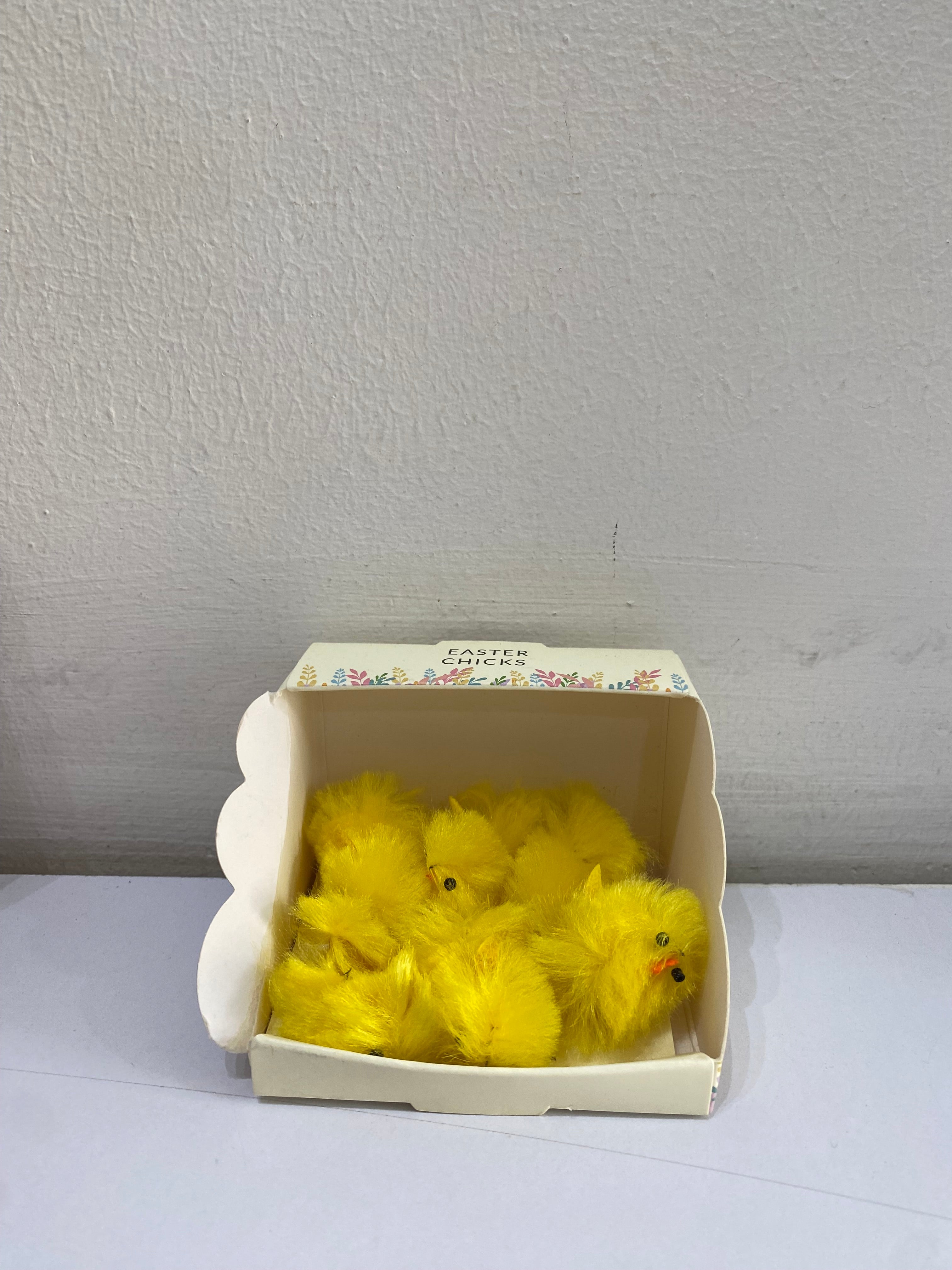 THE RANGE EASTER CHICKS