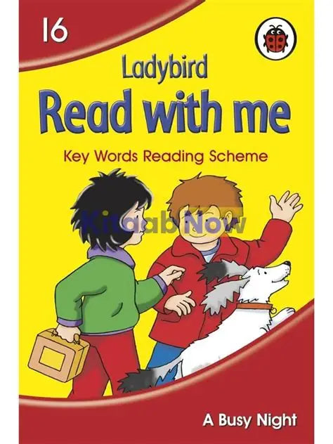 LADYBIRD READ WITH ME LEVEL 16: A BUSY NIGHT